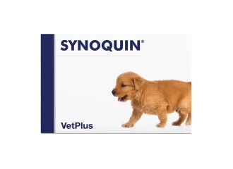Synoquin growth 60 cpr
