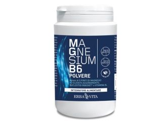 Magnesium B6 Polvere 200g
