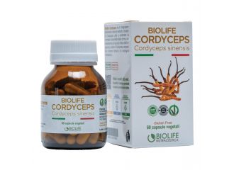 Biolife cordyceps 60 capsule