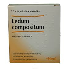 Ledum comp 10f 2,2ml heel