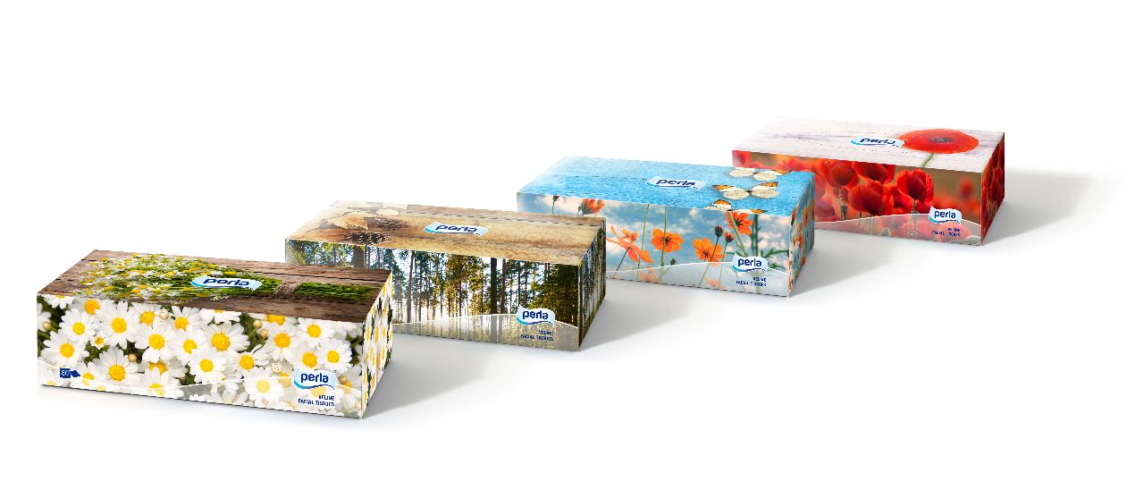 PERLA VELINE BOX 80PEZZI