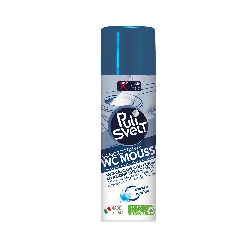 BERGEN PULISVELT WC MOUSSE DISINCREMA 500ML