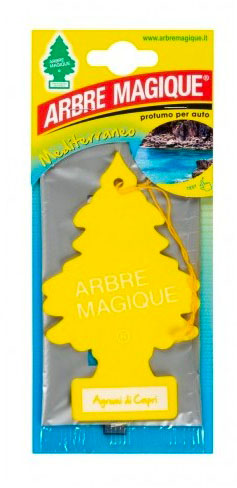 ARBRE MAGIQUE MEDITERRANEO