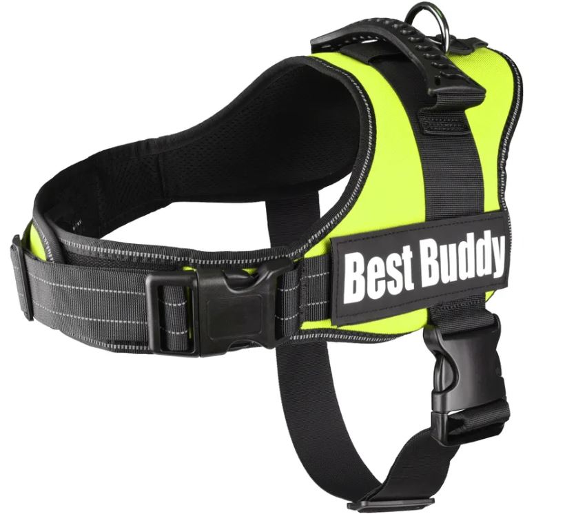 Flamingo Cane Pettorina In Nylon Con Imbottitura "Best Buddy Pluto" 95-130 Cm X 50 Mm Neon Verde
