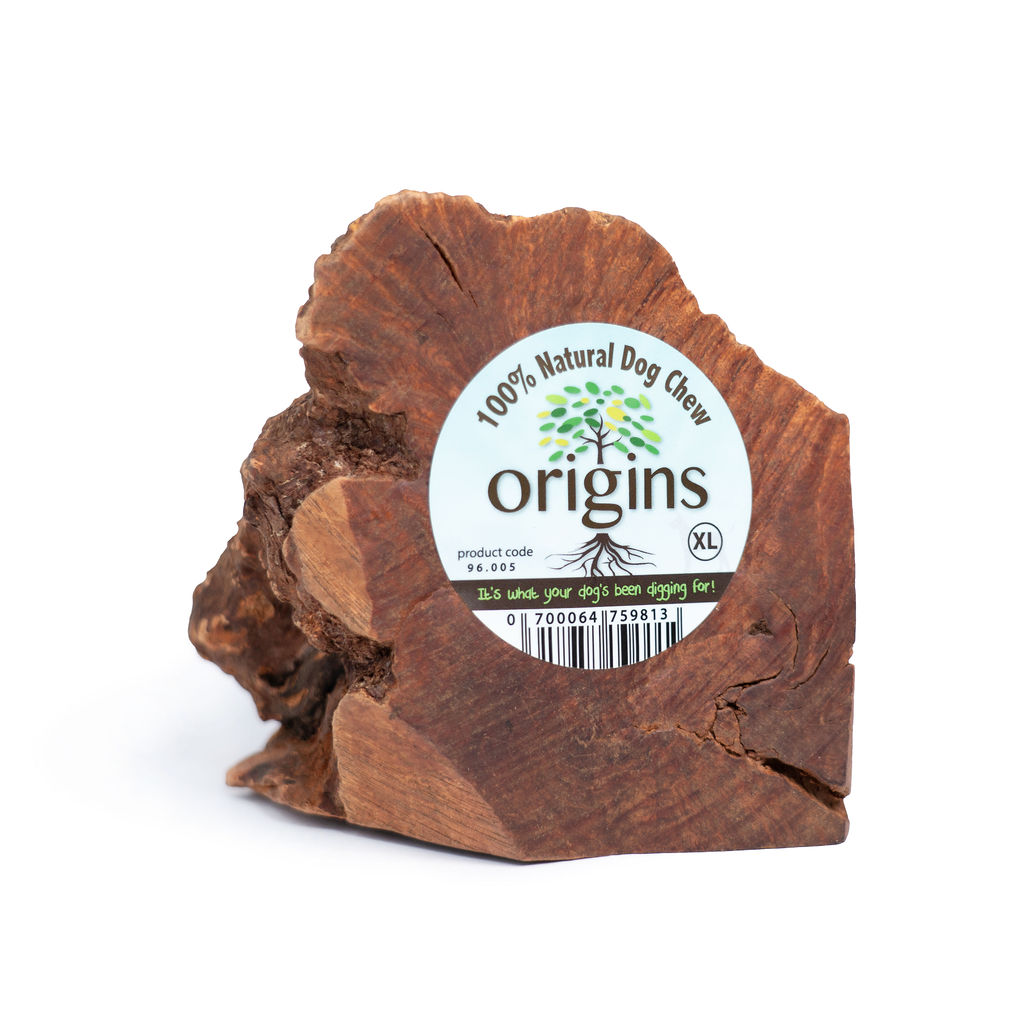 Origins Cane Snack Radice Tg. X-Large-image