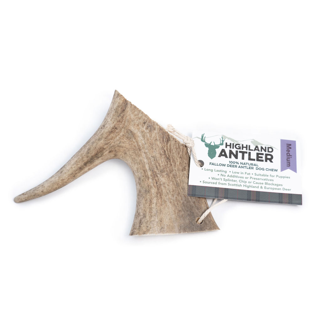 Highland Antler Fallow Cane Snack Corna Di Daino Tg. Medium