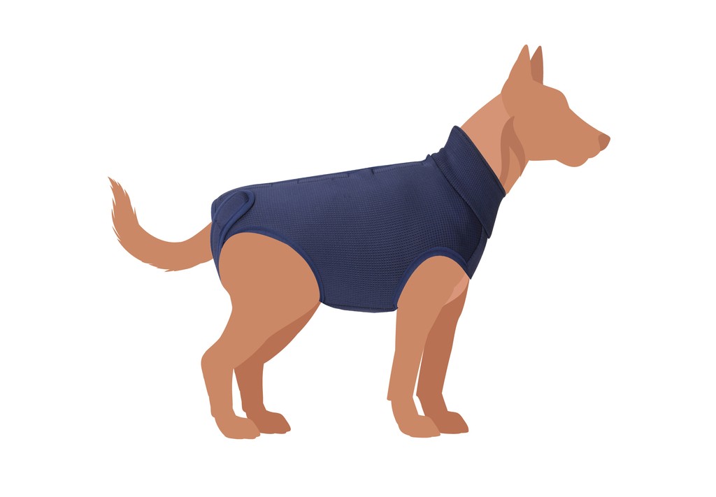 Camon Cane Tutina Post Operatoria "Exclusive" Tg. 40 Blu