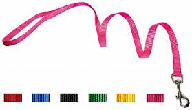 Guinzaglio Nylon 25X1200 Blu