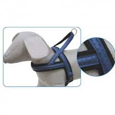 Pettorina Svedese Mylord 30/50X25 Blu