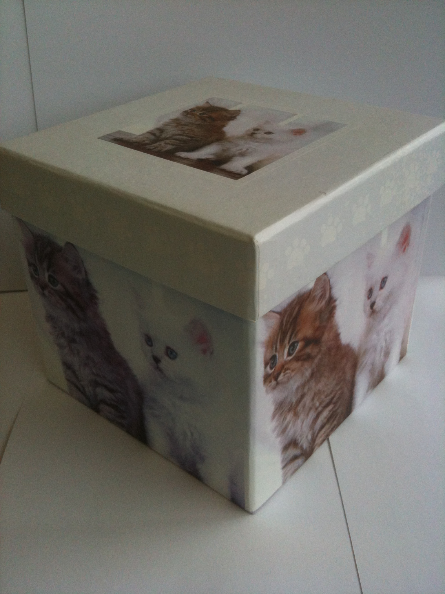 Scatola Gattini 13X13X12Cm