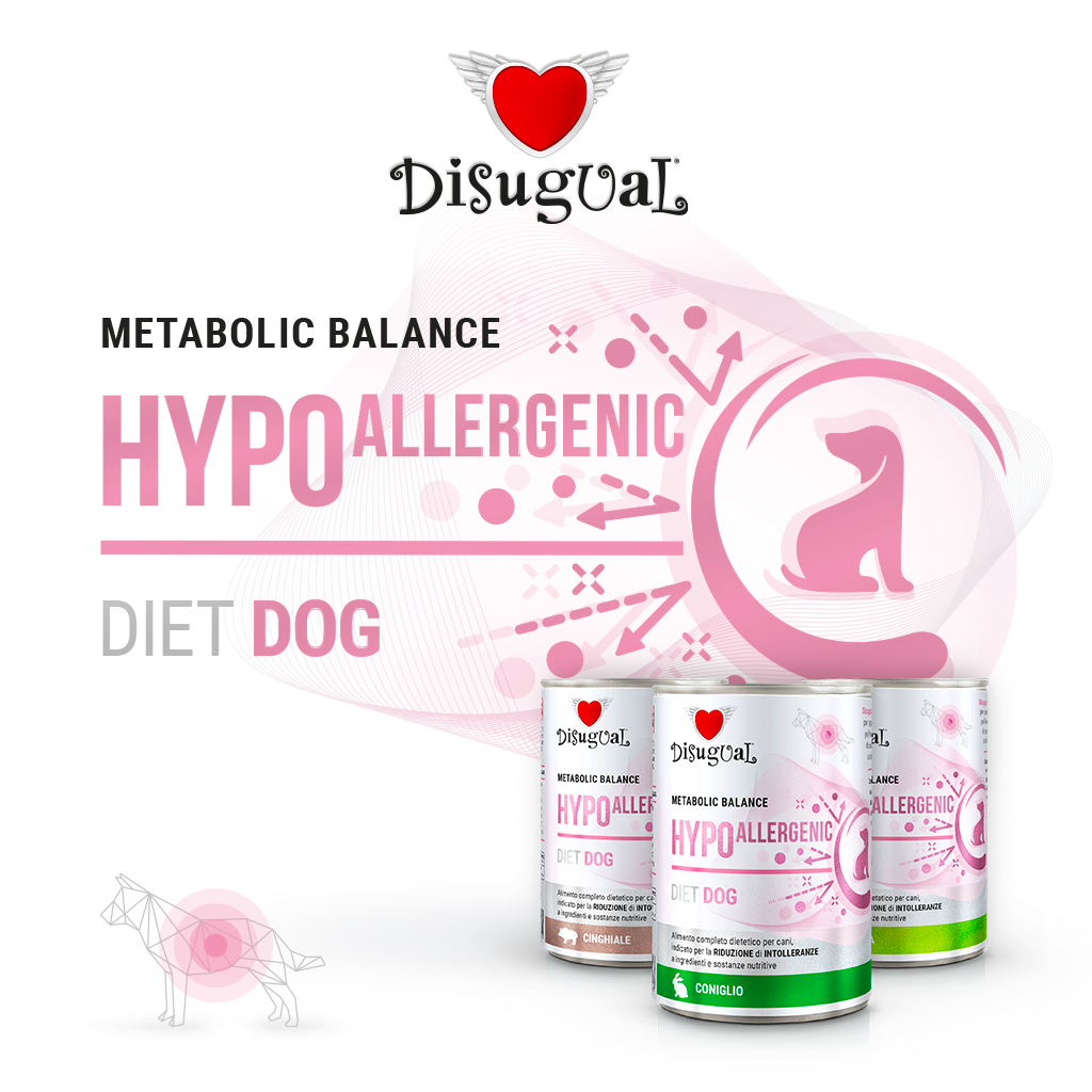 Disugual Cane Diet Hypoallergenic Coniglio 400 Gr