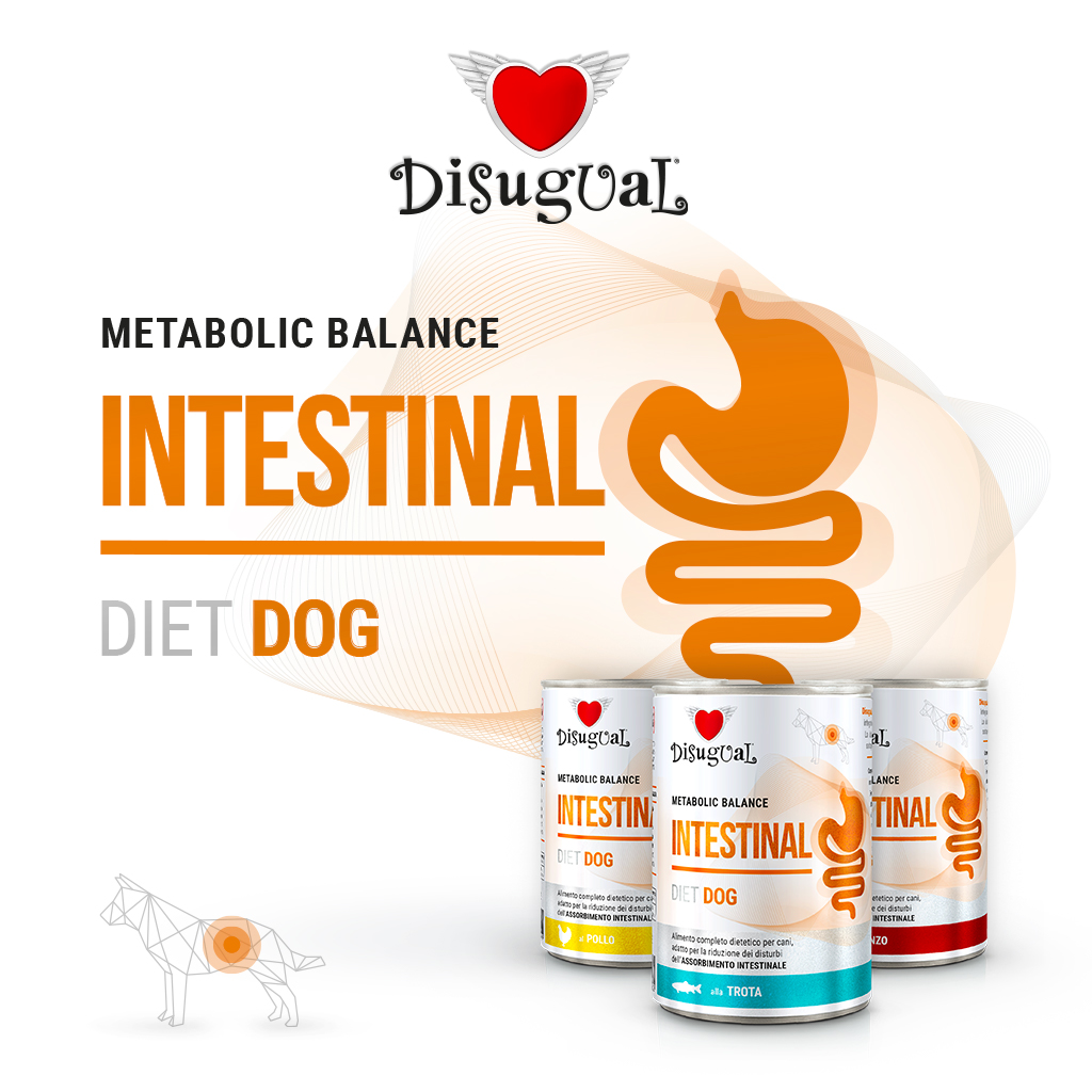 Disugual Cane Diet Intestinal Pollo 400 Gr