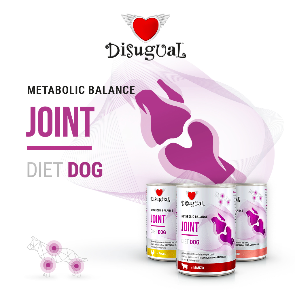 Disugual Cane Diet Joint Salmone 400 Gr