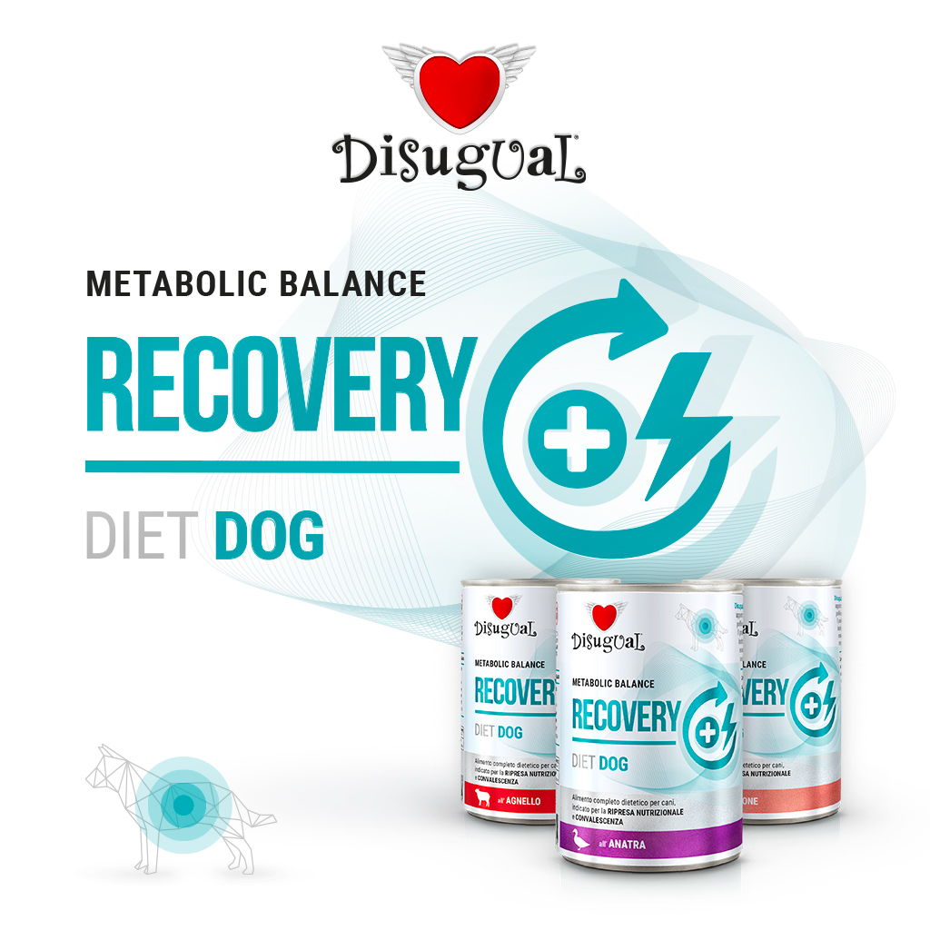 Disugual Cane Diet Recovery Salmone 400 Gr