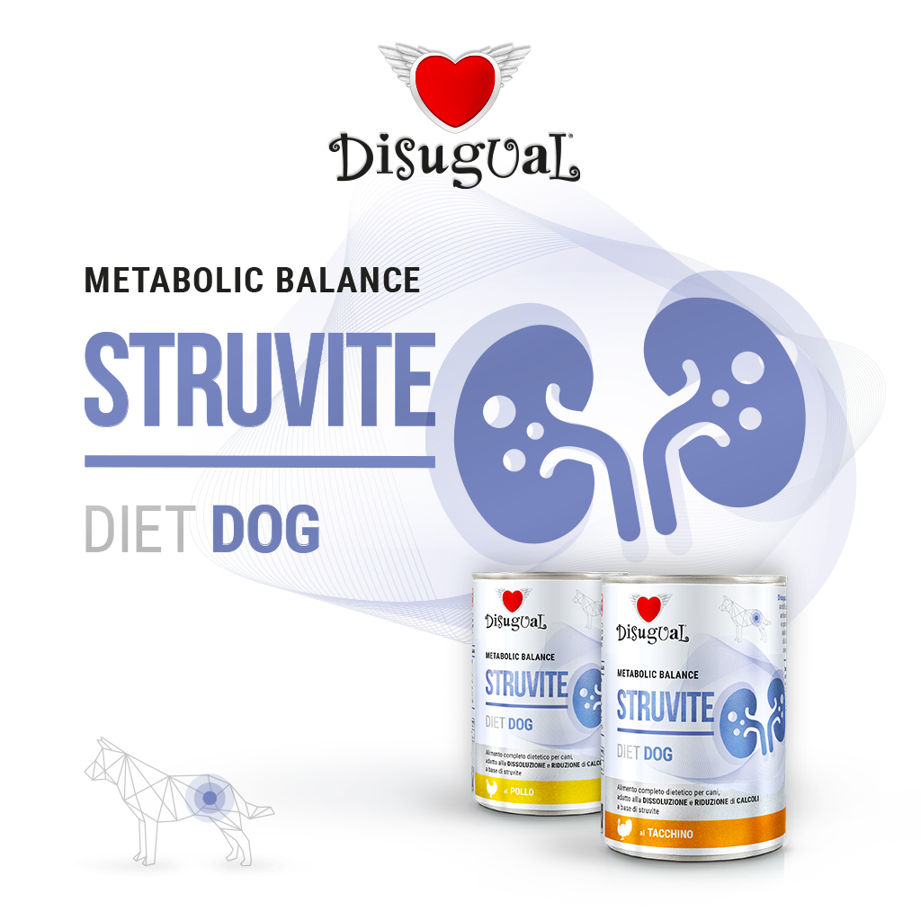 Disugual Cane Diet Struvite Tacchino 400 Gr