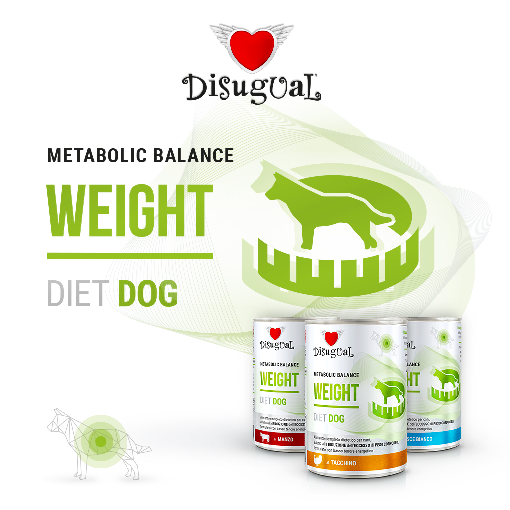 Disugual Cane Diet Weight Manzo 400 Gr