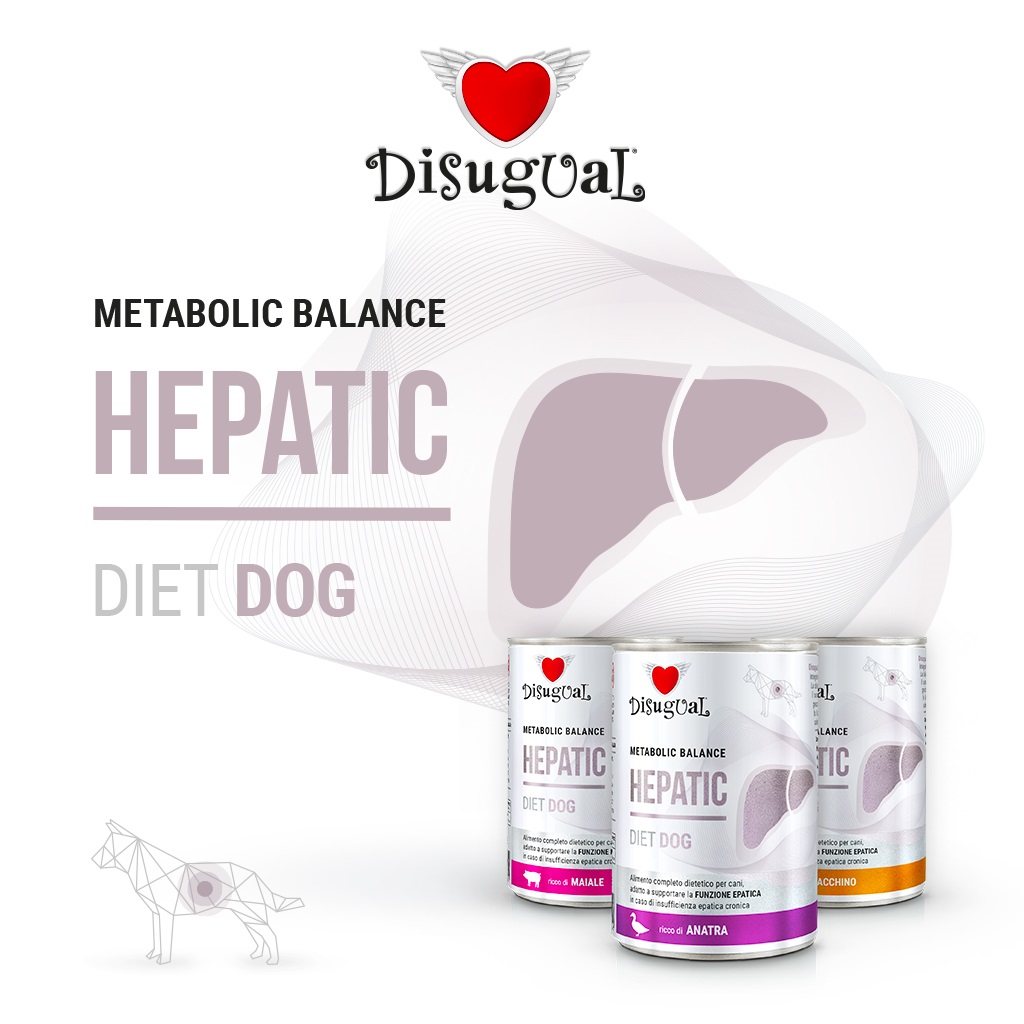 Disugual Cane Diet Hepatic Anatra 400 Gr