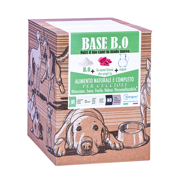 Base B Zero Cartone 7 Kg