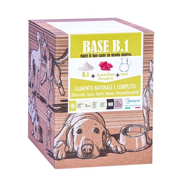 Base B Uno Cartone 7 Kg