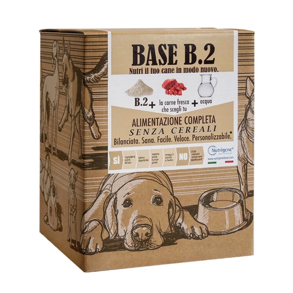 Base B Due Cartone 7 Kg