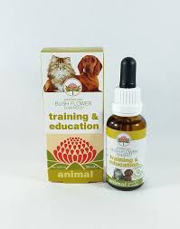 Training &amp; education 30ml