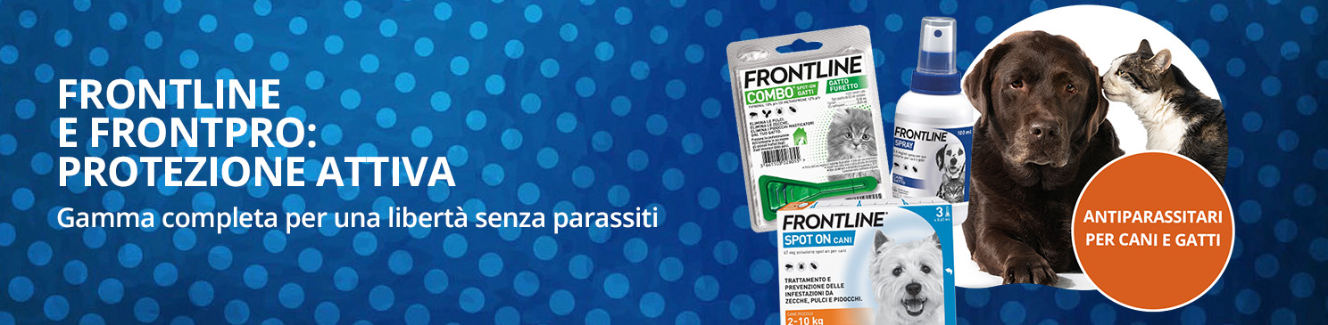 Aprile 10 frontline