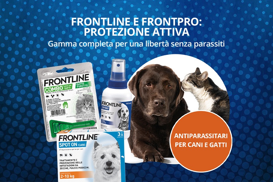 Aprile 10 frontline