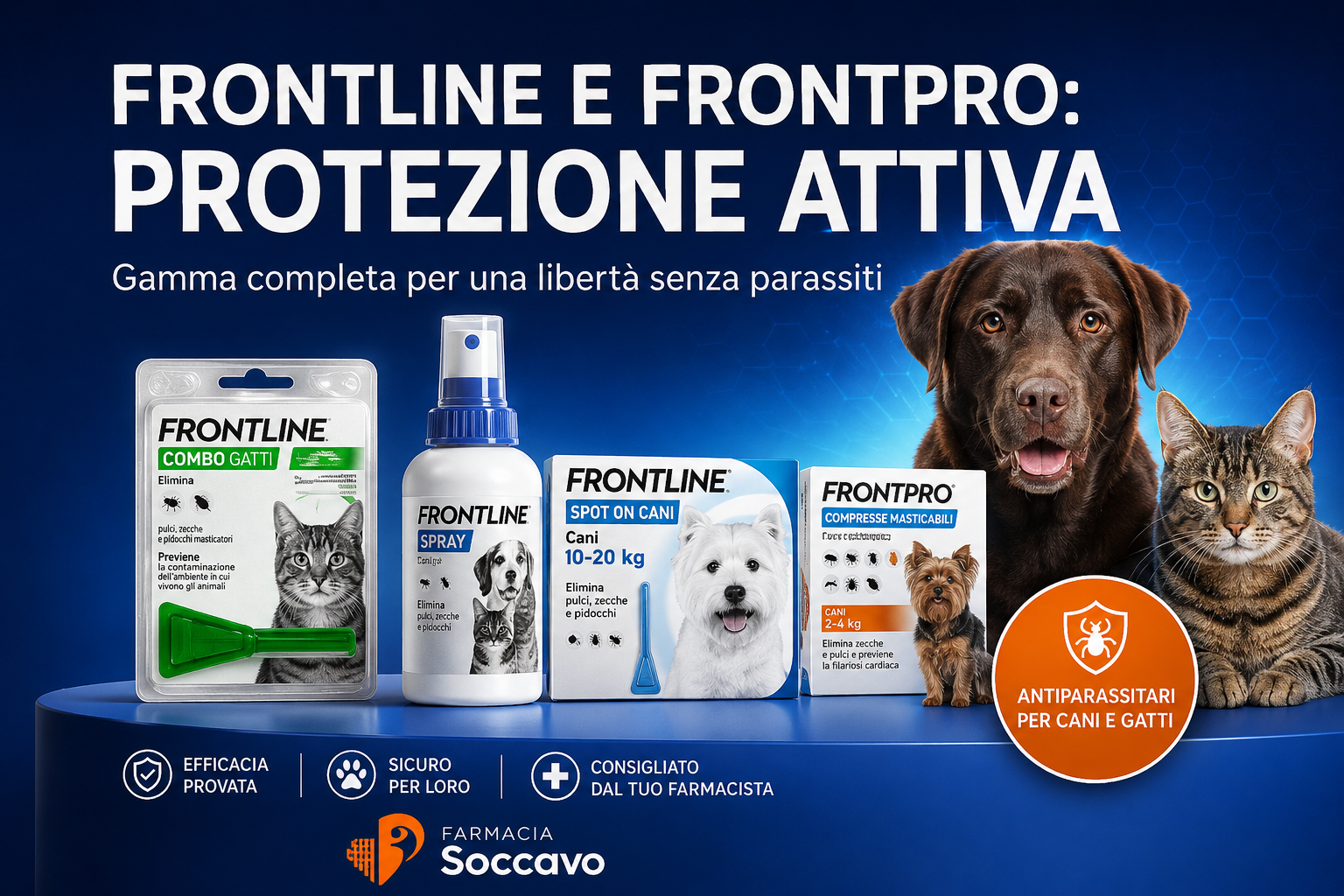 Aprile 10 frontline