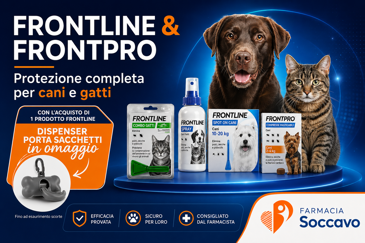 Aprile 10 frontline