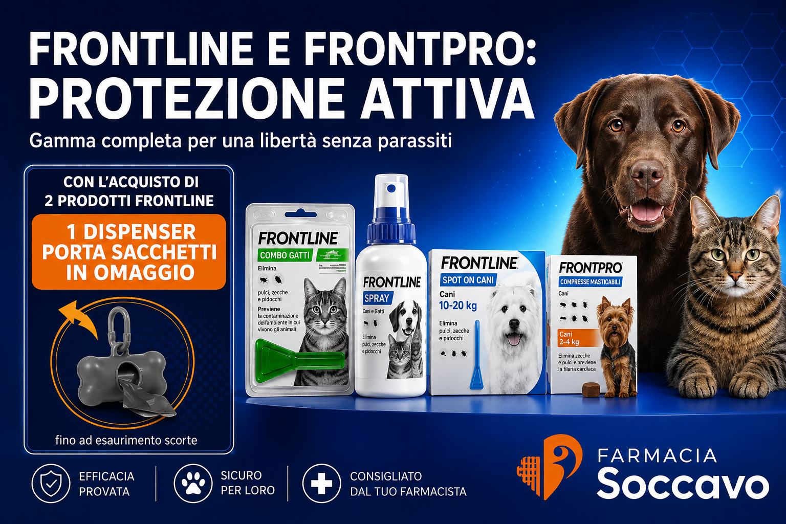 Aprile 10 frontline