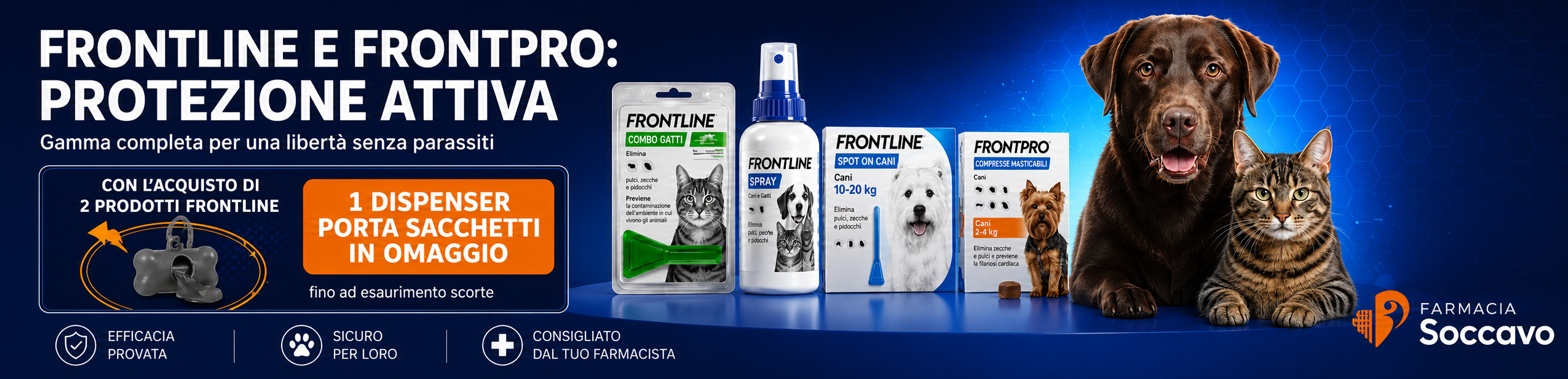 Aprile 10 frontline