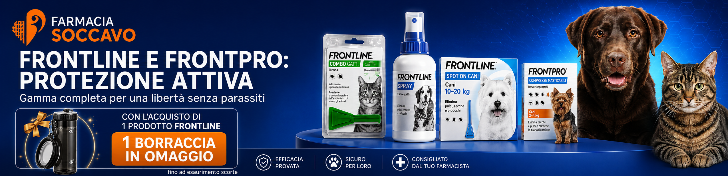 Aprile 10 frontline