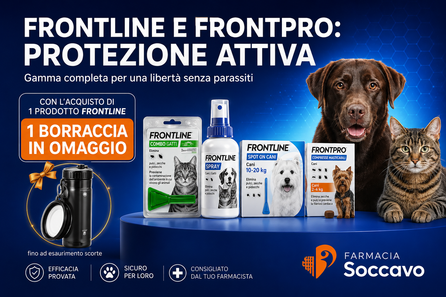 Aprile 10 frontline