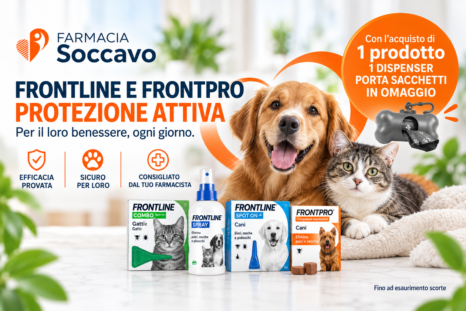 Aprile 10 frontline