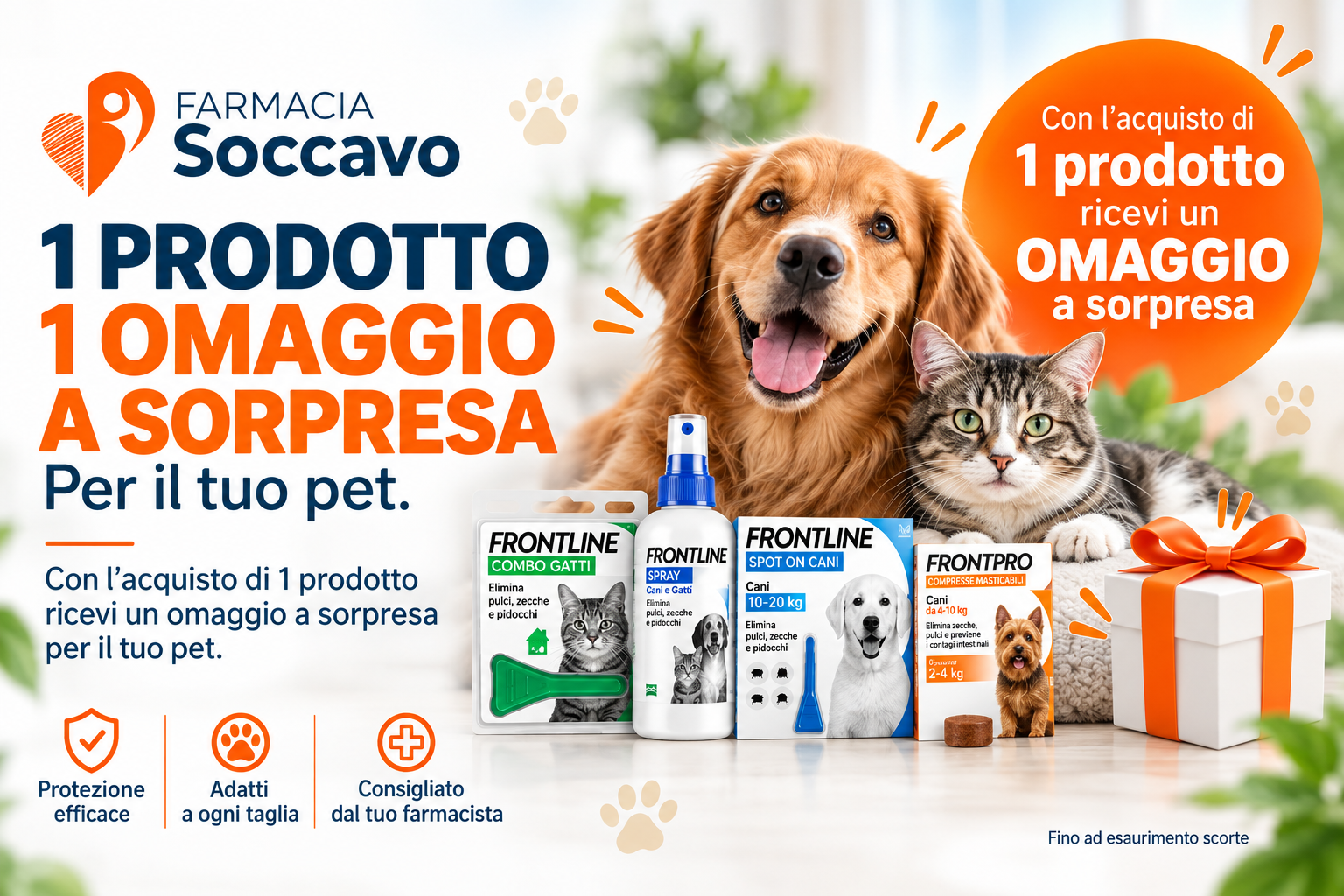 Aprile 10 frontline
