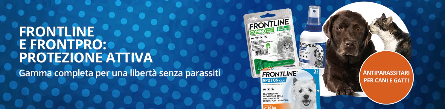 Maggio arg 10 - frontline