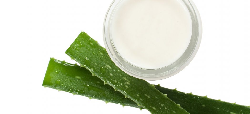 Aloe vera: benefici e usi